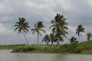 beaufitul landscape at the mono river, grand popo, benin photo