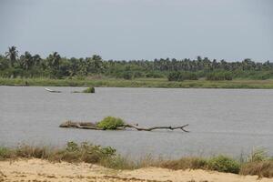 Beaufitul paisaje a el mono río, grandioso popó, benin foto