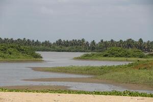 beaufitul landscape at the mono river, grand popo, benin photo