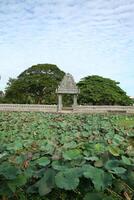 estanque con loto plantas un pequeño templo a el antecedentes foto