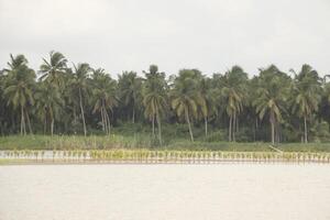 Beaufitul paisaje a el mono río, grandioso popó, benin foto