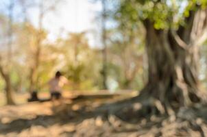 Abstract blur green park with sunlight background photo