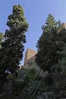 Alcazaba palace in Malaga, Spain photo