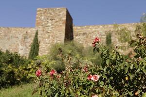 Alcazaba palace in Malaga, Spain photo