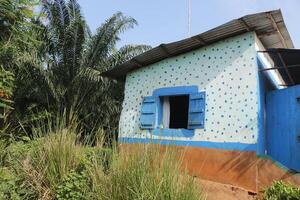 rural vida en djangbo en benin foto