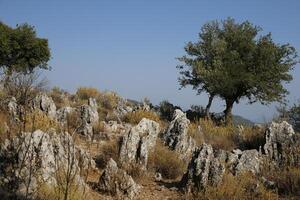 beautiful nature in the mountains of dalyan, turkey photo