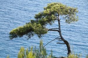 On the road from Dalyan to Bitez, beautiful landscape in Turkey photo