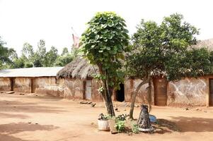 rural life in djangbo in benin photo