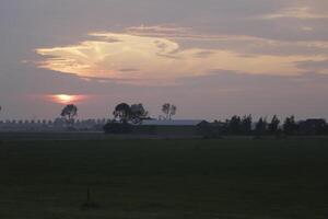 puesta de sol en el campo foto