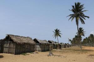 beach houses for rent at the beach in Benin photo