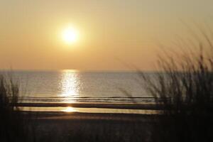 sunset at the beach photo