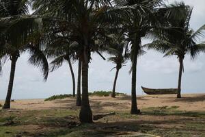 pescadores barco a el playa en benin foto