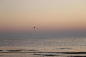 sunset at the beach photo