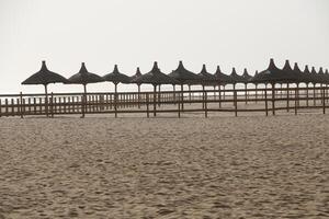 sun umbrellas at the beach in Benin photo