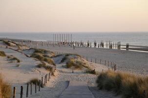 sunset at the beach photo