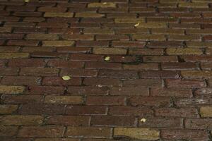 rain in the street photo