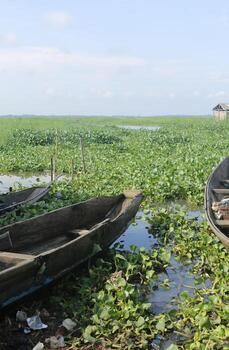 pueblo sobre pilotes aguegues en benin África foto