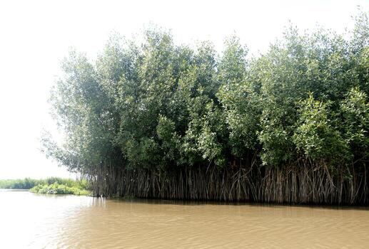 pueblo sobre pilotes aguegues en benin África foto
