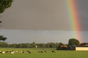 dark sky in landscape with rainbow photo