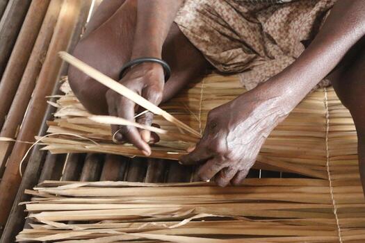 pueblo sobre pilotes aguegues en benin África foto