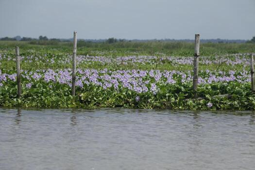 pueblo sobre pilotes aguegues en benin África foto