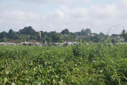 pueblo sobre pilotes aguegues en benin África foto