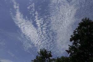 blue sky with some clouds photo