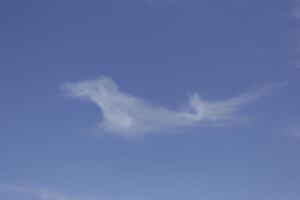 cielo azul con algunas nubes foto