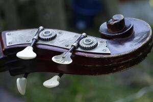 close up of a violin photo