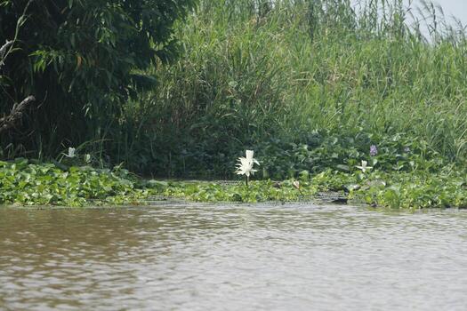 pueblo sobre pilotes aguegues en benin África foto