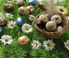 easter chocolate eggs colorful wrapped in foil photo