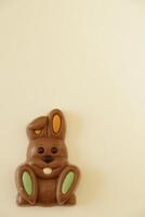 chocolate easter bunnies photo