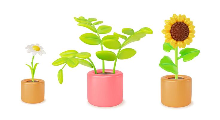 3d Houseplant Concept Chamomile and Sunflower in Cachepots Set Cartoon