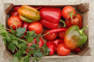 Fresco vegetales escogido Fresco desde el jardín. un caja de Fresco vegetales foto