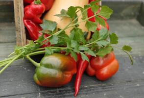 Fresh vegetables picked fresh from the garden. a box of fresh vegetables photo