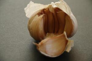 bulb of garlic photo