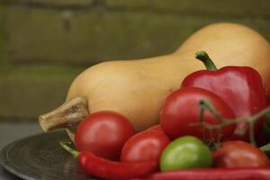 Fresh vegetables picked fresh from the garden in close up photo