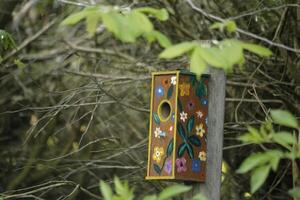 colorful nesting box for birds photo