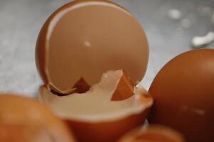 broken egg shells in close up photo