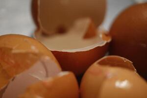 broken egg shells in close up photo