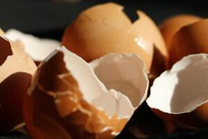 broken egg shells in close up photo