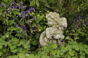 estatua en jardín con aguileña flores foto