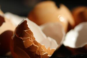 broken egg shells in close up photo