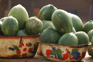 papaya a delicious tropical fruit photo