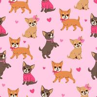 Seamless pattern with cute chihuahuas with pink bows. graphics. vector