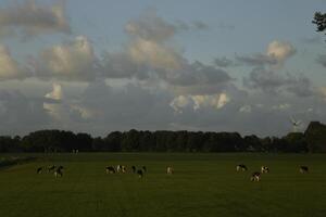 dramatic sky with thunder clouds in a dutch landscape photo