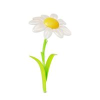 3d Daisy or Chamomile Flower Cartoon vector