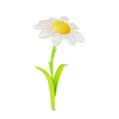 3d Daisy or Chamomile Flower Cartoon