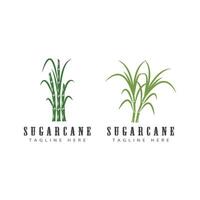 Sugarcane logo template symbol design vector