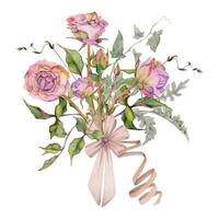 Hand drawn watercolor illustration shabby boho botanical flowers leaves. Dusty pink tea rose, ivy tendrils, silver cineraria with bow tie. Bouquet isolated white background. Design wedding, love cards vector